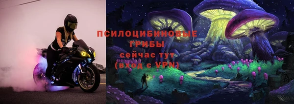 хмурый Алексин