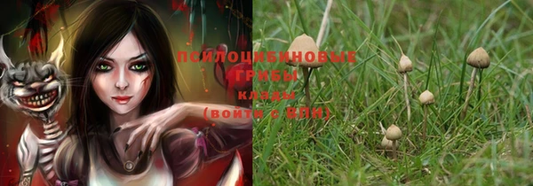 прущая мука Алзамай