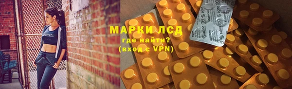 хмурый Алексин