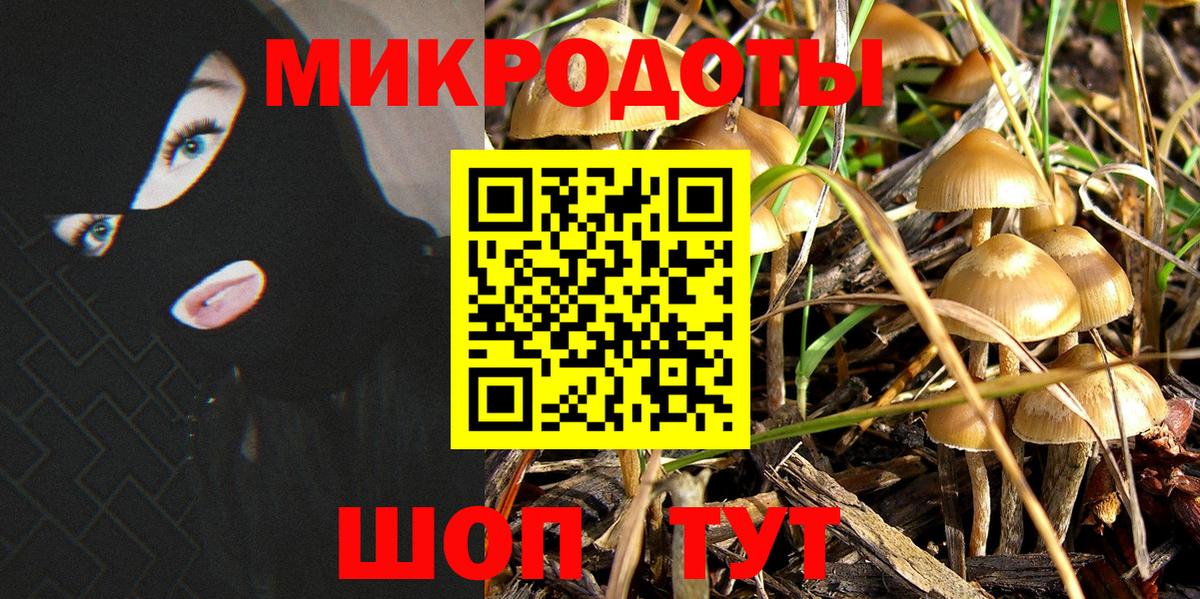Псилоцибиновые грибы прущие грибы  Вход с VPN  купить наркотик  Евпатория 