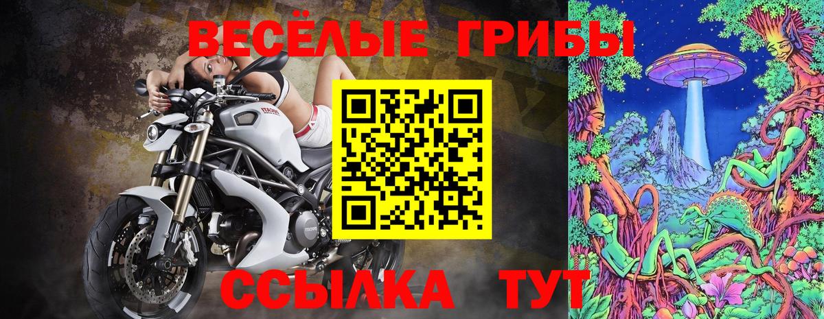 Псилоцибиновые грибы прущие грибы Евпатория